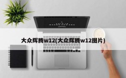 大众辉腾w12(大众辉腾w12图片)