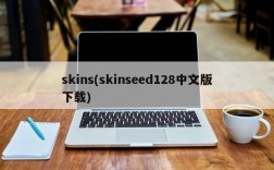 skins(skinseed128中文版下载)