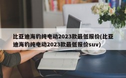 比亚迪海豹纯电动2023款最低报价(比亚迪海豹纯电动2023款最低报价suv)