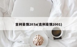 吉利豪情203a(吉利豪情2001)