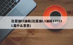 比亚迪l3油耗(比亚迪L3油耗17733L是什么意思)