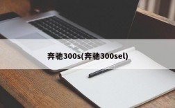 奔驰300s(奔驰300sel)