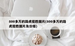 800多万的路虎揽胜图片(800多万的路虎揽胜图片及价格)