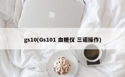 gs10(Gs101 血糖仪 三诺操作)