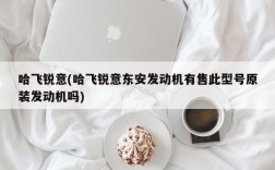 哈飞锐意(哈飞锐意东安发动机有售此型号原装发动机吗)