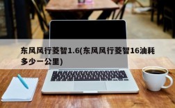 东风风行菱智1.6(东风风行菱智16油耗多少一公里)