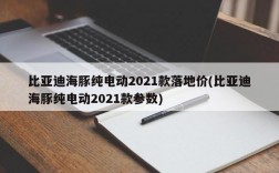 比亚迪海豚纯电动2021款落地价(比亚迪海豚纯电动2021款参数)