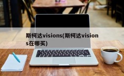 斯柯达visions(斯柯达visions在哪买)