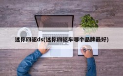 迷你四驱ds(迷你四驱车哪个品牌最好)