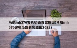 马航mh370客机坠毁真实原因(马航mh370客机坠毁真实原因2022)