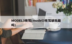 MODEL3有驾(model3有驾驶乐趣吗)