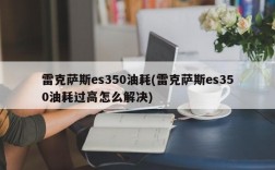 雷克萨斯es350油耗(雷克萨斯es350油耗过高怎么解决)