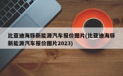 比亚迪海豚新能源汽车报价图片(比亚迪海豚新能源汽车报价图片2023)