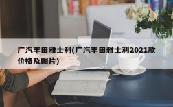 广汽丰田雅士利(广汽丰田雅士利2021款价格及图片)