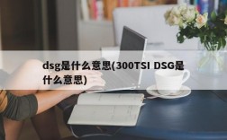 dsg是什么意思(300TSI DSG是什么意思)