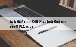 纯电续航1000公里汽车(纯电续航1000公里汽车suv)