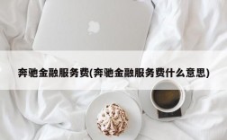 奔驰金融服务费(奔驰金融服务费什么意思)