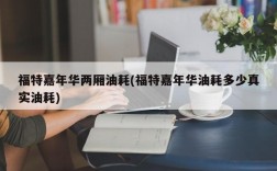 福特嘉年华两厢油耗(福特嘉年华油耗多少真实油耗)