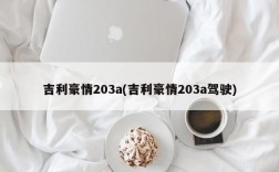 吉利豪情203a(吉利豪情203a驾驶)