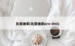 比亚迪宋(比亚迪宋pro dmi)