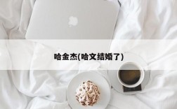 哈金杰(哈文结婚了)