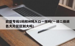 欧亚专线S码和W码入口一样吗(一级二级调色大片区区别大吗)