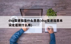 dsg变速箱是什么意思(dsg变速箱基本设定是做什么用)